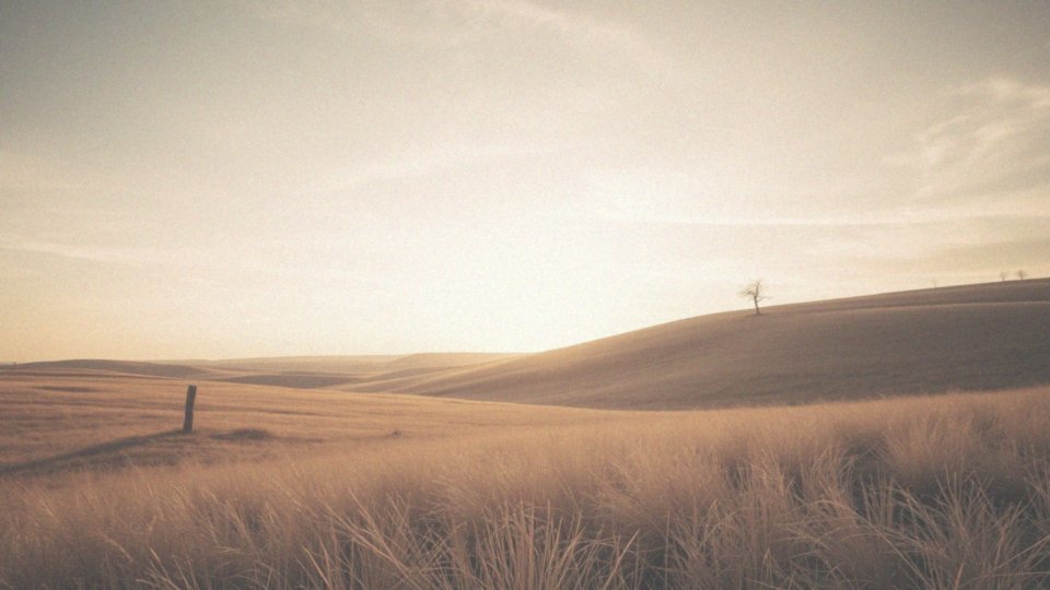 What Does the Imagery of the Steppe Reveal About the Characters' Emotions?
