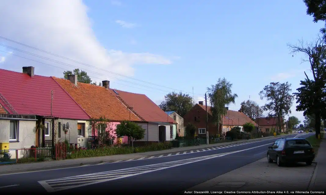 Wystąpienie Afrykańskiego Pomoru Świń w gminie Przelewice